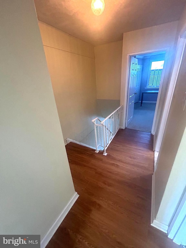 hallway featuring dark hardwood / wood-style flooring