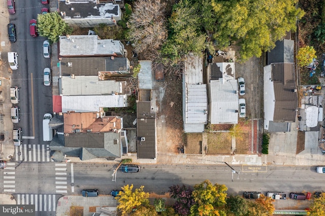 bird's eye view