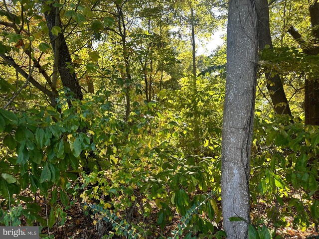 0 Independence Dr N, Montross, VA 22520