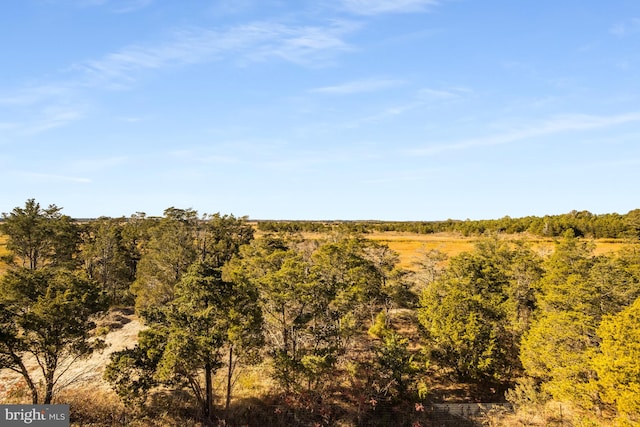 view of nature