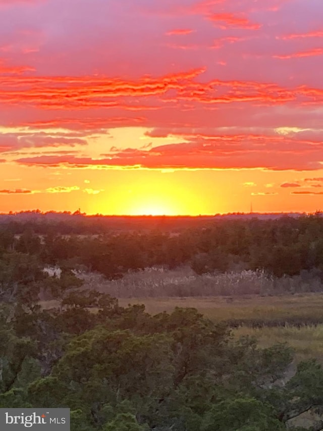 view of nature at dusk