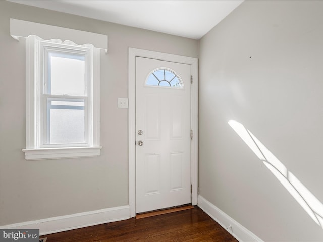 foyer entrance featuring dark wood-type flooring