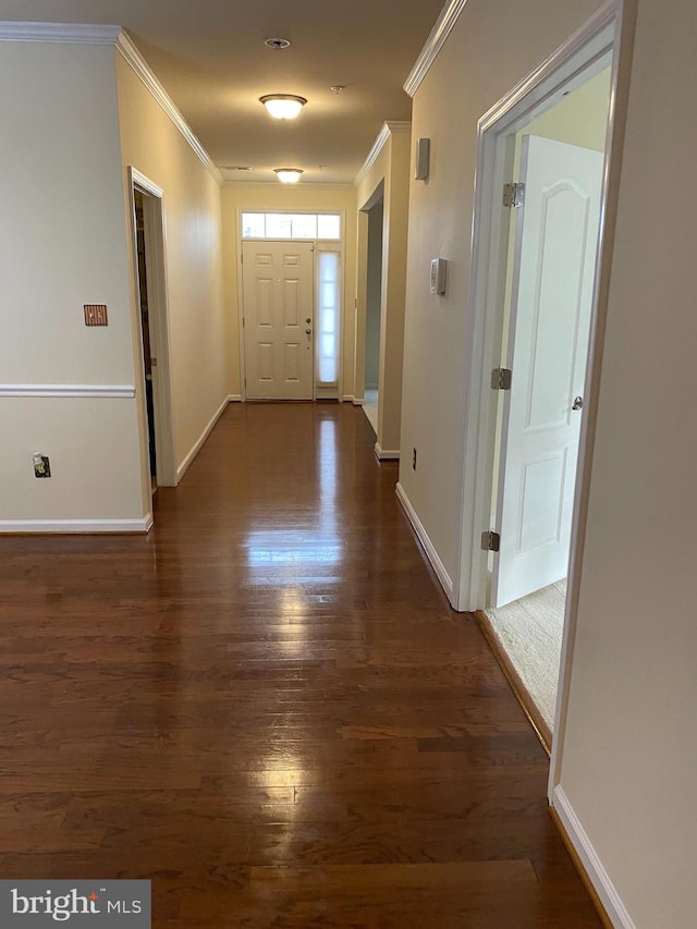 interior space with crown molding and dark hardwood / wood-style flooring