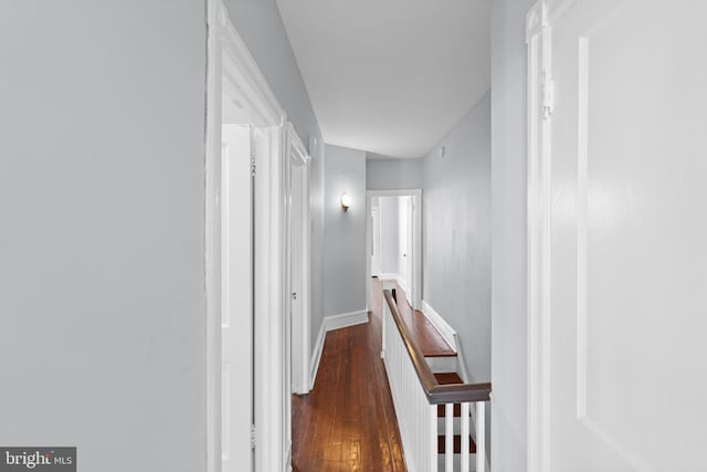 hallway with dark wood-type flooring