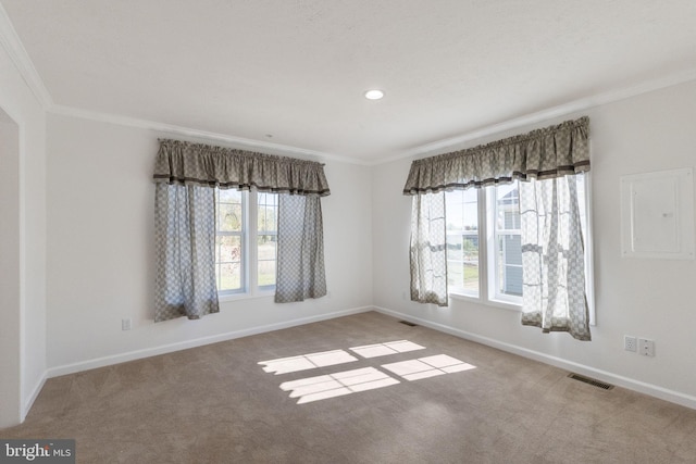 carpeted empty room featuring electric panel, ornamental molding, and a wealth of natural light