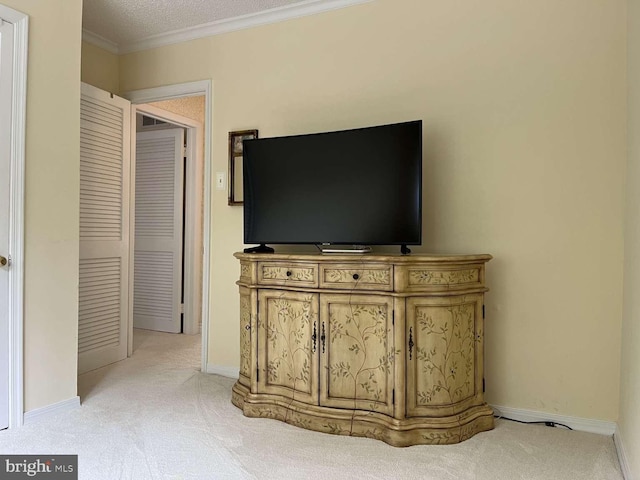 interior space with crown molding, a textured ceiling, and carpet