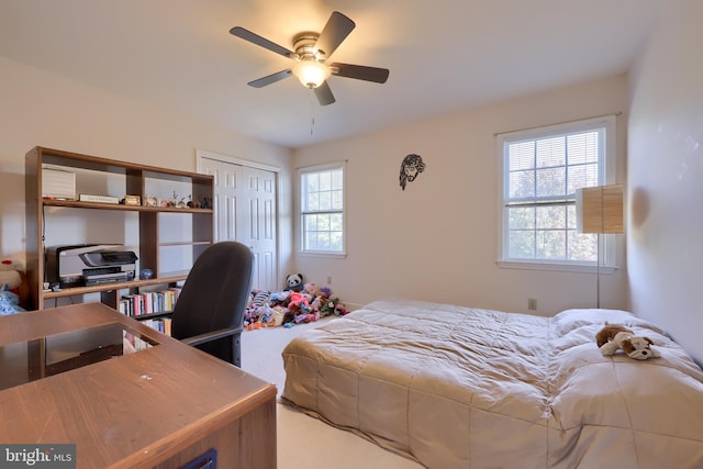 bedroom with a closet, ceiling fan, multiple windows, and carpet floors