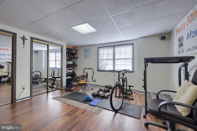 exercise area featuring hardwood / wood-style floors, a paneled ceiling, and a wealth of natural light