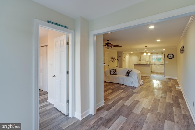 hallway with crown molding and light wood-type flooring