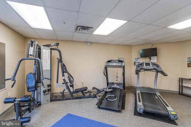 workout room featuring a paneled ceiling and carpet flooring