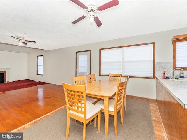 dining room with sink, light hardwood / wood-style floors, and ceiling fan