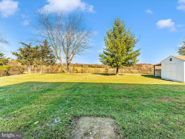 view of yard with a shed