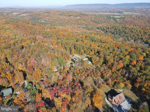 bird's eye view