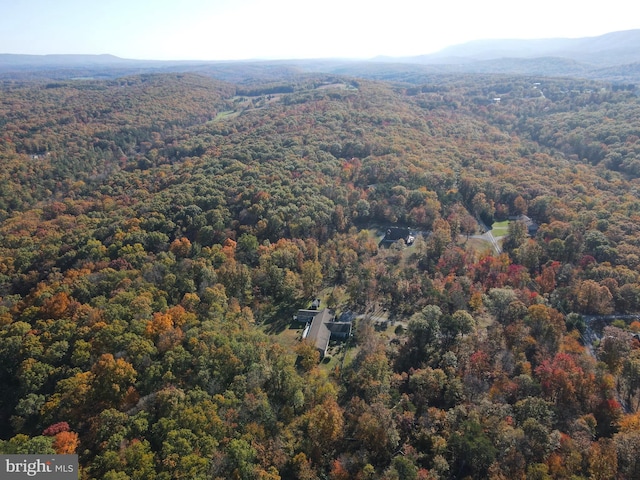 birds eye view of property featuring a mountain view