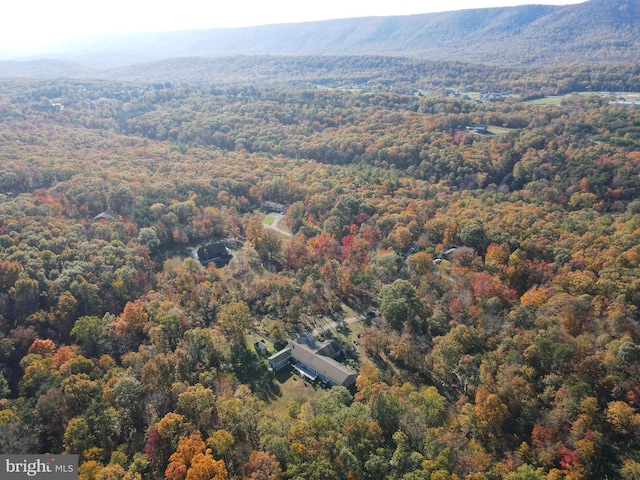 drone / aerial view featuring a mountain view