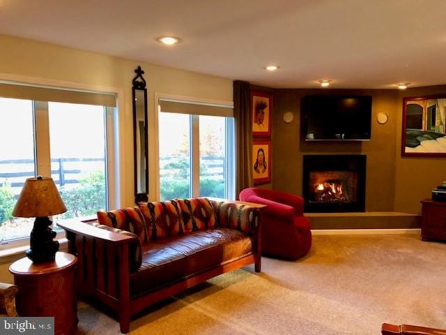 living room featuring a wealth of natural light and carpet