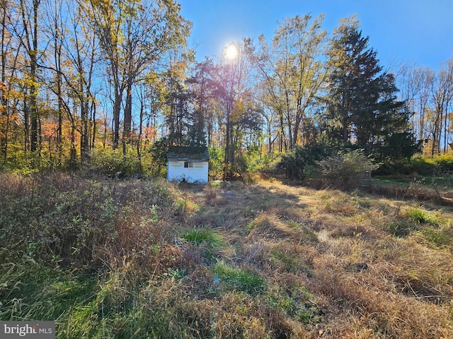 view of yard featuring a shed