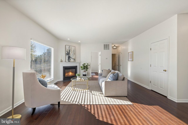 living room with dark wood-type flooring