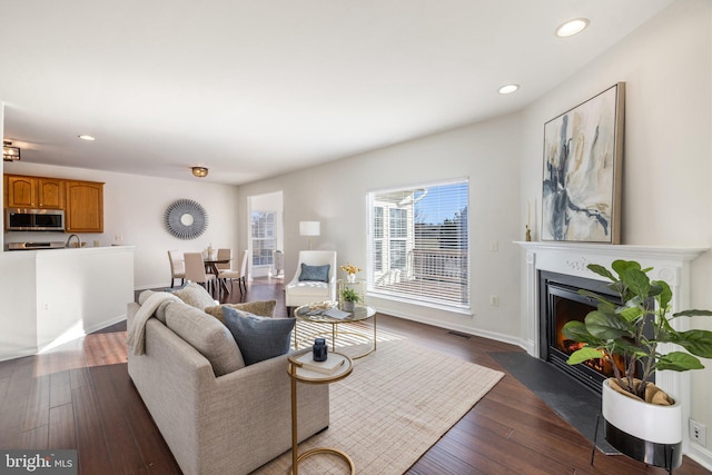 living room with dark wood-type flooring