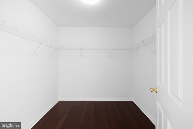 walk in closet featuring hardwood / wood-style flooring