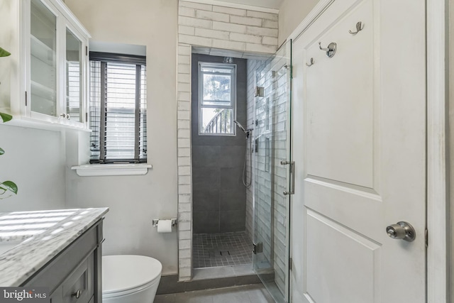 bathroom with vanity, an enclosed shower, and toilet