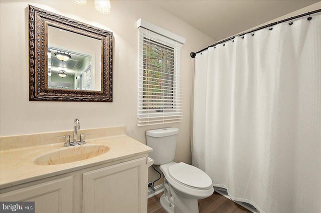 bathroom with vanity, toilet, and wood-type flooring