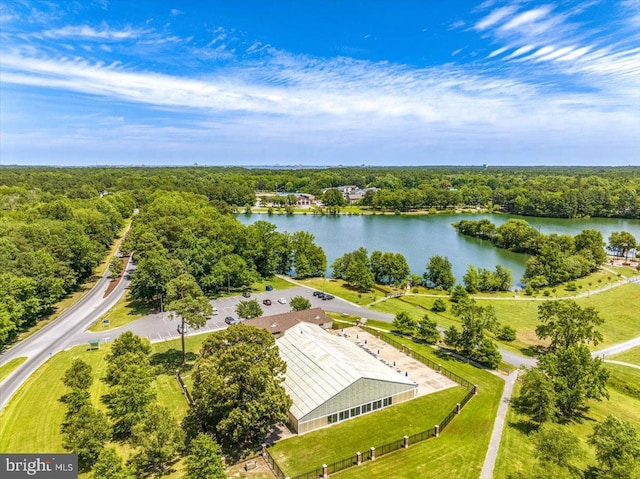 39 Admiral Ave, Ocean Pines, MD 21811 - bird's eye view of a large body of water and a forest