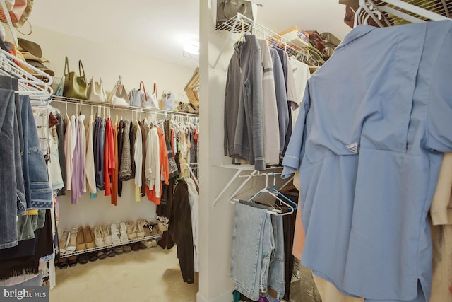 walk in closet with carpet floors