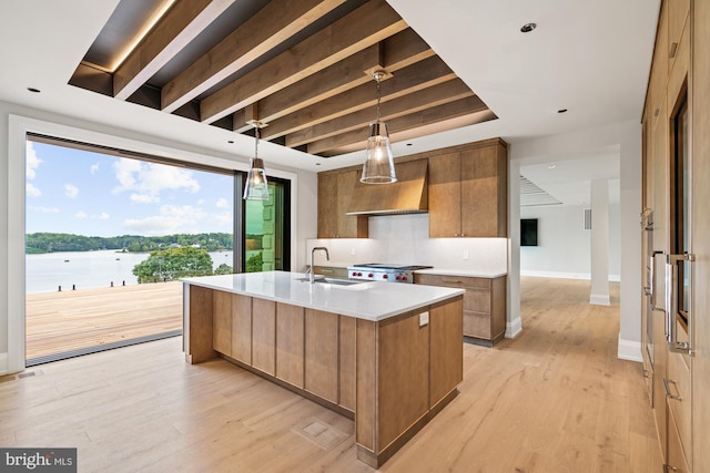 kitchen with custom exhaust hood, light wood-style floors, brown cabinets, and a sink