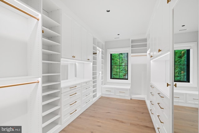 spacious closet with light wood finished floors