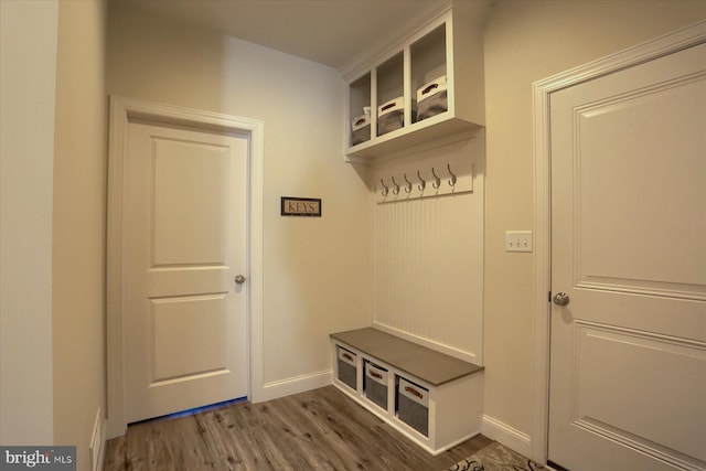 mudroom with dark wood-type flooring