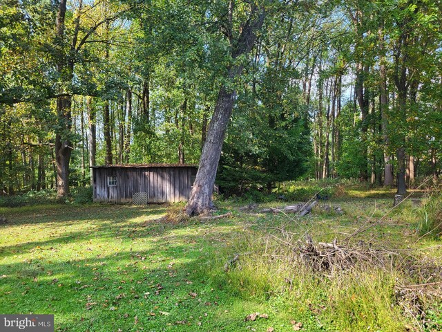 view of yard featuring an outbuilding