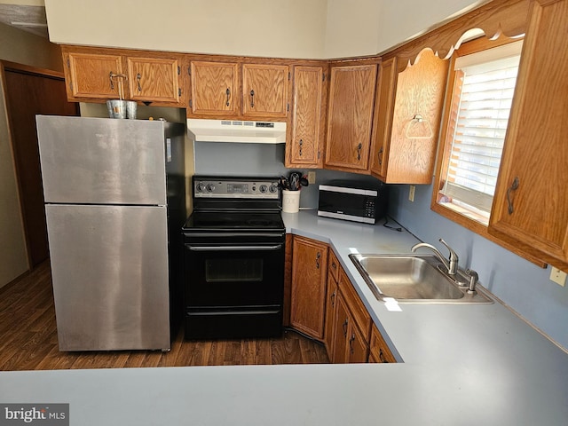 kitchen with sink, dark hardwood / wood-style floors, and stainless steel appliances