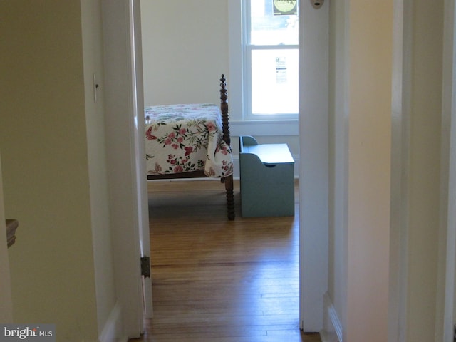 hallway with hardwood / wood-style flooring