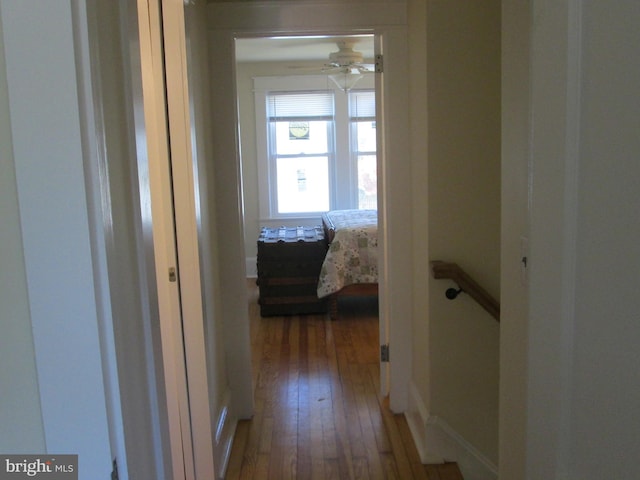 hallway with wood-type flooring