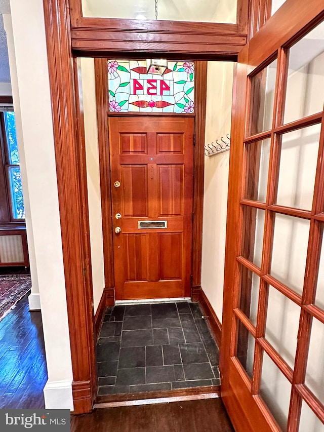 entryway featuring dark wood-type flooring