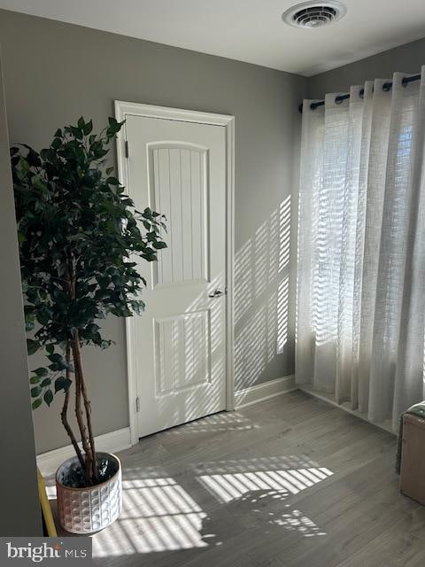 foyer featuring wood-type flooring