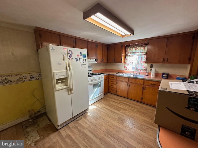 kitchen featuring sink, light wood-type flooring, and white appliances