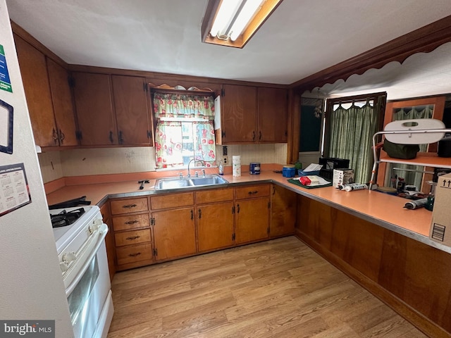 kitchen featuring sink, light wood-type flooring, and white stove