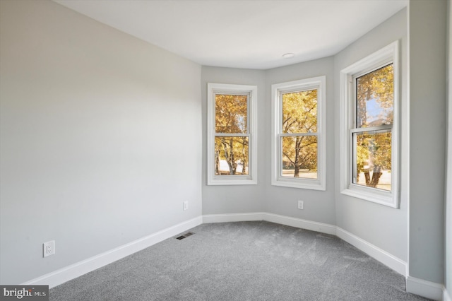 spare room with carpet floors