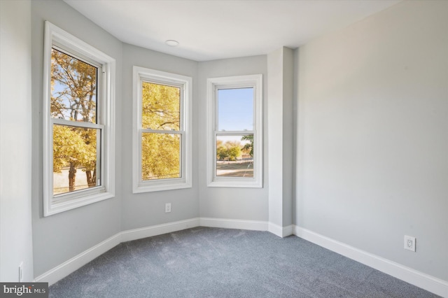 view of carpeted spare room