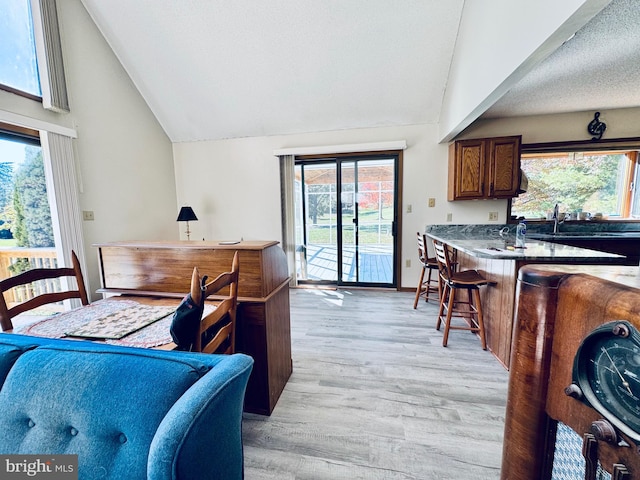 interior space with light hardwood / wood-style floors, sink, and vaulted ceiling