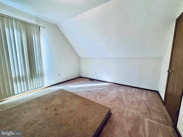 additional living space featuring a textured ceiling, lofted ceiling, and light colored carpet