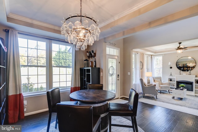 dining area with a tray ceiling, dark wood-type flooring, ornamental molding, and ceiling fan with notable chandelier