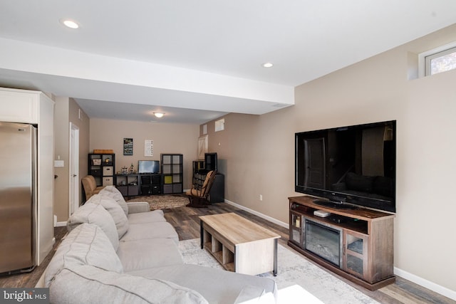 living room featuring wood-type flooring