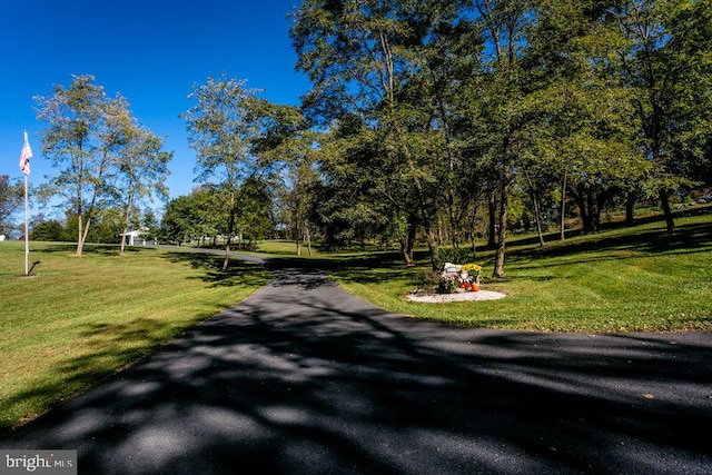 view of home's community with a lawn