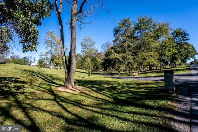 view of home's community with a lawn