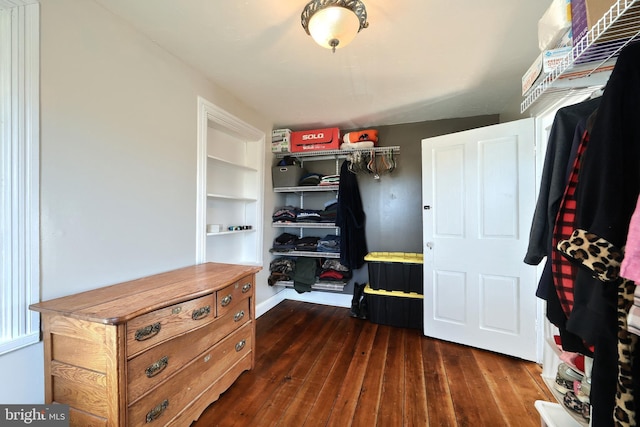 walk in closet featuring dark hardwood / wood-style flooring