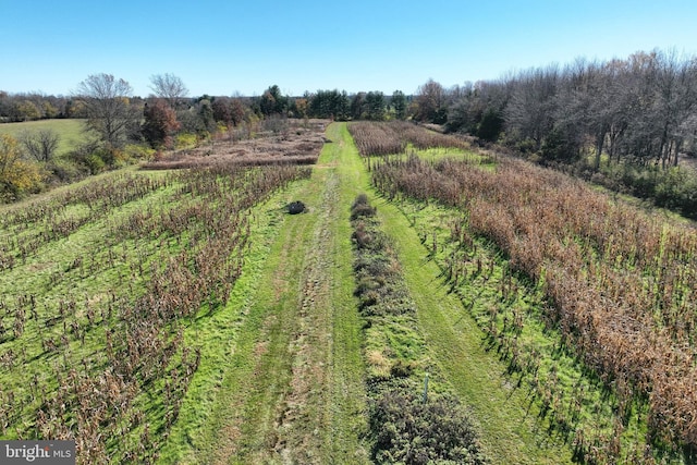 birds eye view of property featuring a rural view