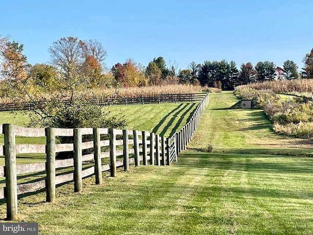 view of yard with a rural view